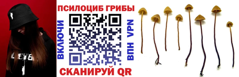 Галлюциногенные грибы мухоморы  Купить где  Завитинск 